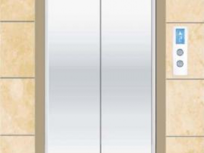 Cửa tầng thang máy Phong thuỷ Lựa chọn SVE-LD09